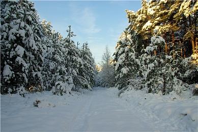 国产动作角色扮演《矛盾传说》上架Steam 明年Q1发售